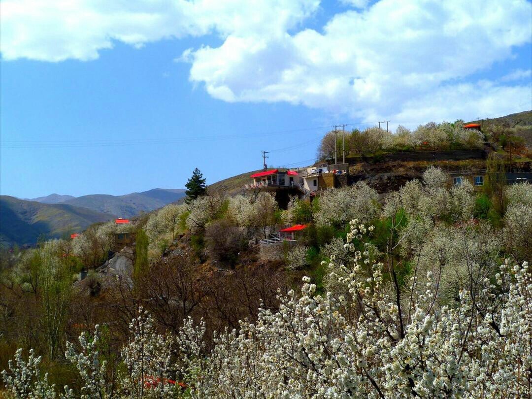 شکوفه&zwnj;های بهاری در ازغد روستایی در شهر طرقبه