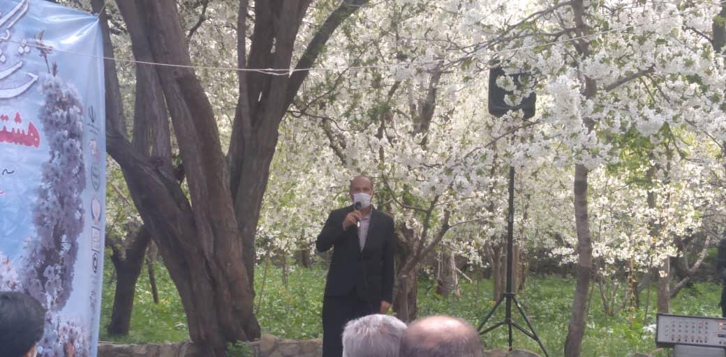 هشتمین جشنواره شکوفههای گیلاس در روستای زشک هشتمین جشنواره شکوفههای گیلاس در روستای زشک