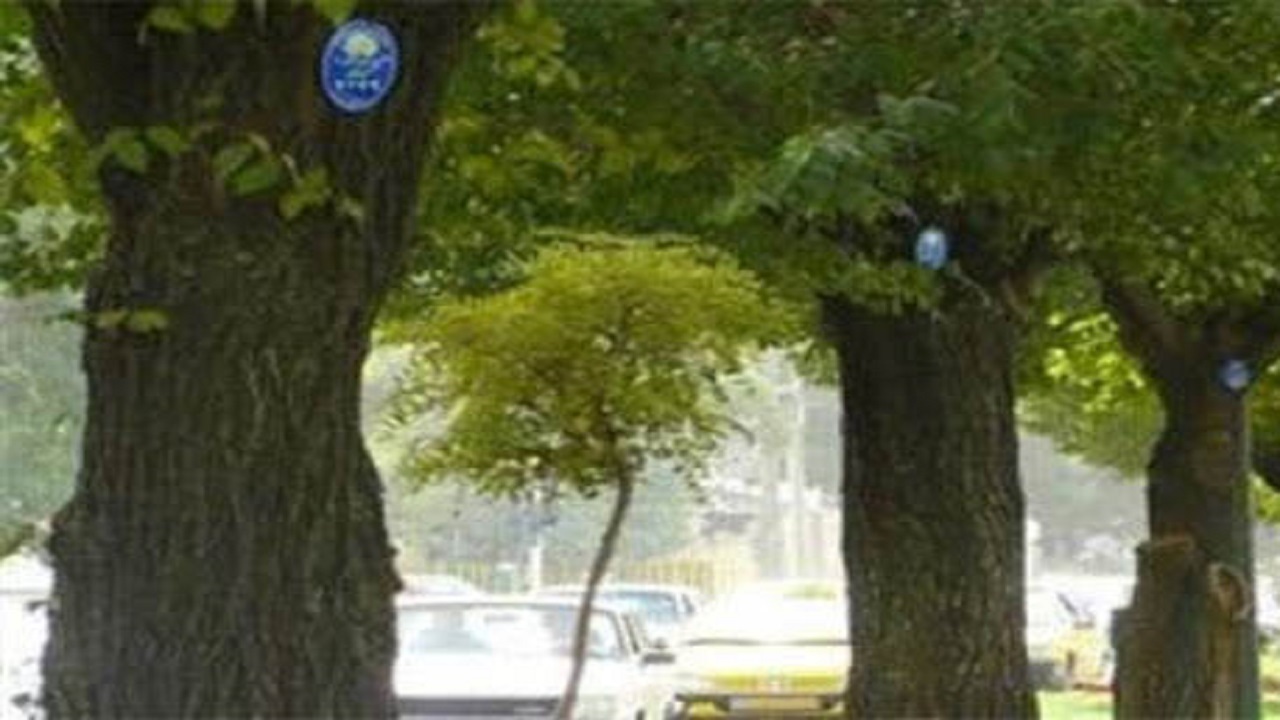 اجرای طرح پلاک کوبی هوشمند درختان در ایلخچی