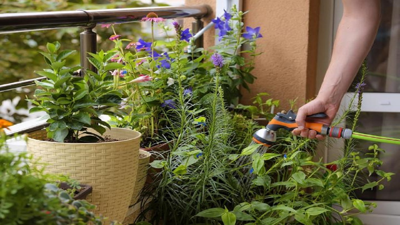 ۱۰ نکته برای ایجاد باغچه در بالکن منزلتان