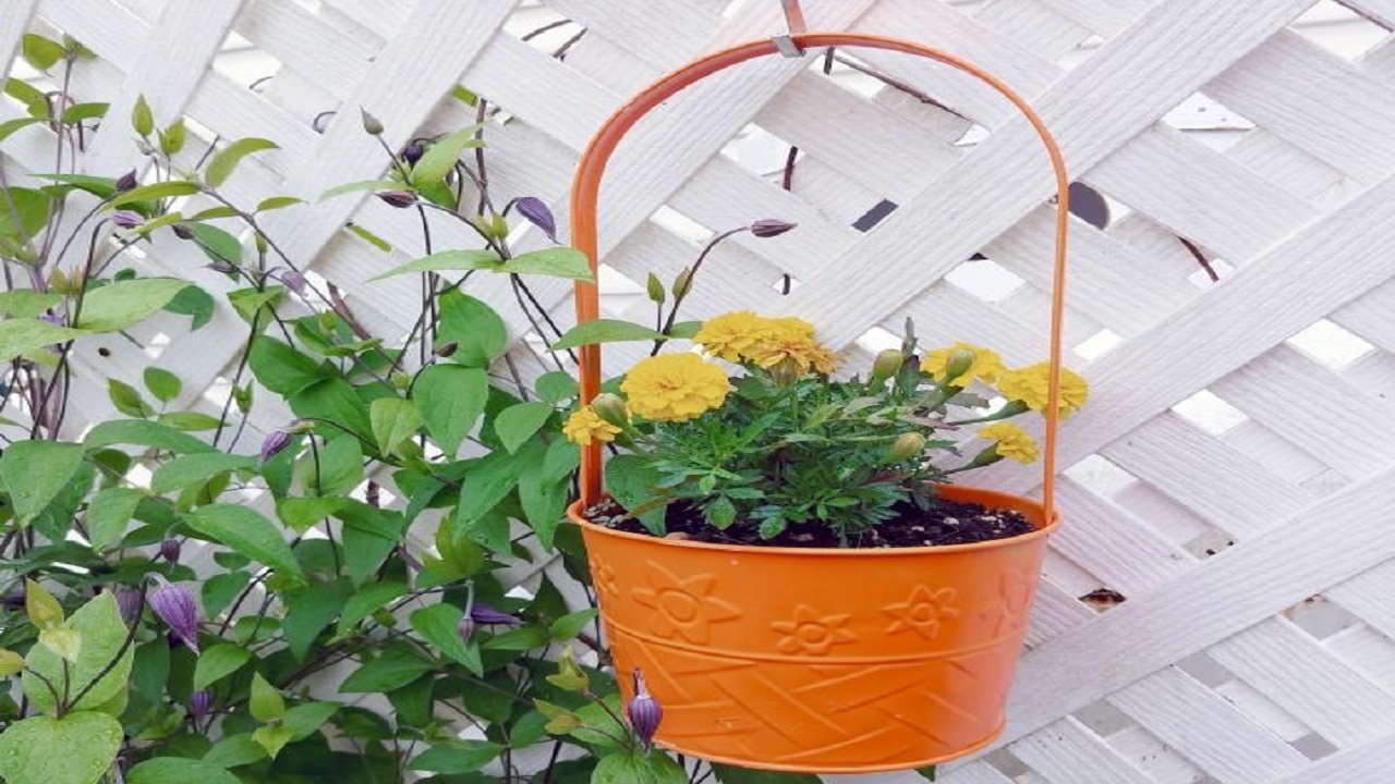 ۱۰ نکته برای ایجاد باغچه در بالکن منزلتان