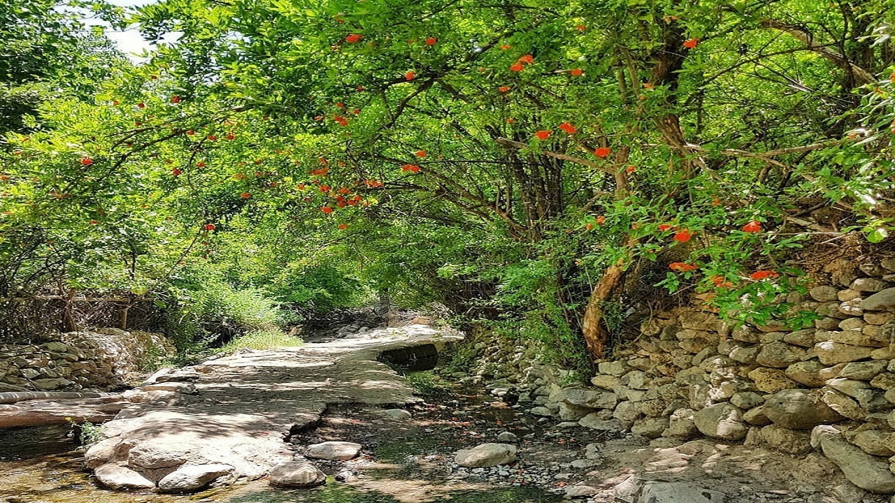 نگاهی به کوچه باغ های بهاری دشتک + فیلم