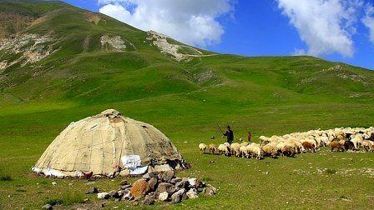 جذب ۴۲ میلیارد تومان تسهیلات زنجیره گوشت قرمز حمایت از عشایر فارس
