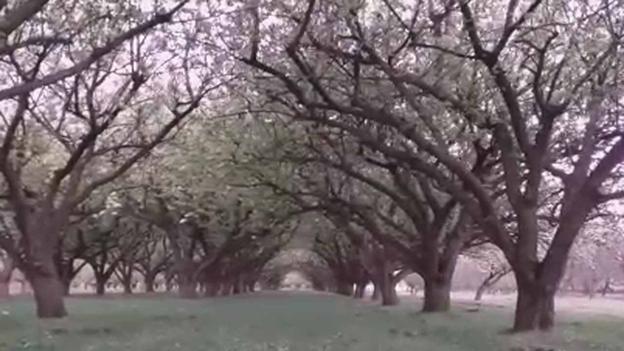 گوشه‌ای از طبیعت بکر و دیدنی در روستای تکه + فیلم