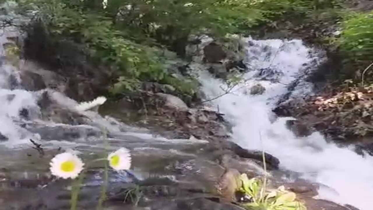 با چشمه پرآب سراب گیان در نهاوند آشنا شوید + فیلم
