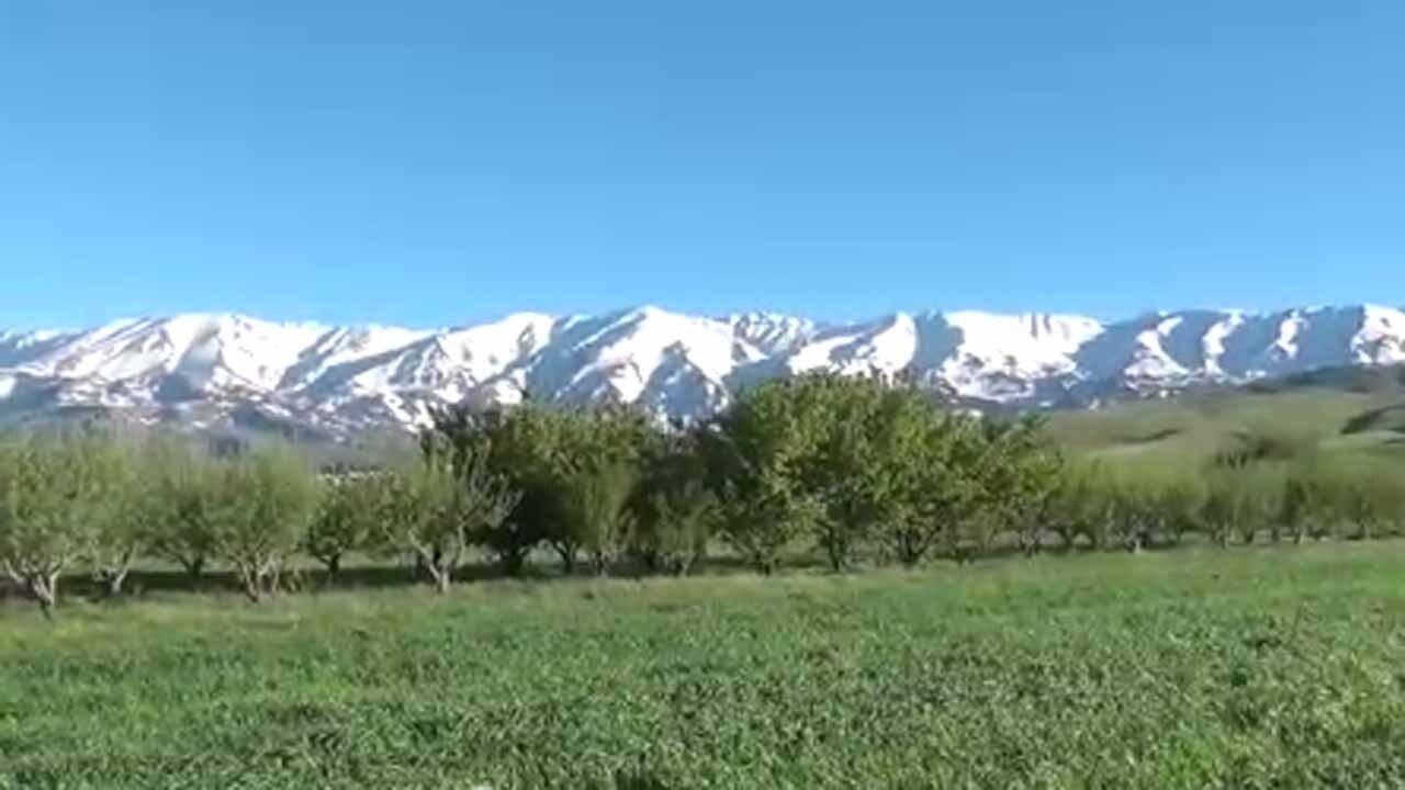 طبیعت دلنواز روستای دره ابراهیم در قاب دوربین + فیلم