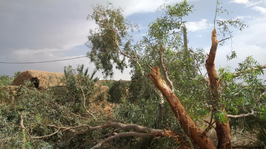 ریگان در طوفان خاک محو شد