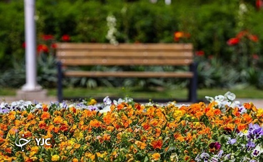 طبیعت بهاری بوستان&zwnj;های قم +تصاویر