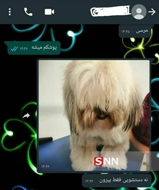 به پرستاری جوان، برای «حیوان خانگی» نیازمندیم! + تصاویر/نگهداری از کودک ۴ ساله پوششی برای سایتهای خدمات دهنده به پرستاری جوان، برای «حیوان خانگی» نیازمندیم! + تصاویر/نگهداری از کودک ۴ ساله پوششی برای سایتهای خدمات دهنده