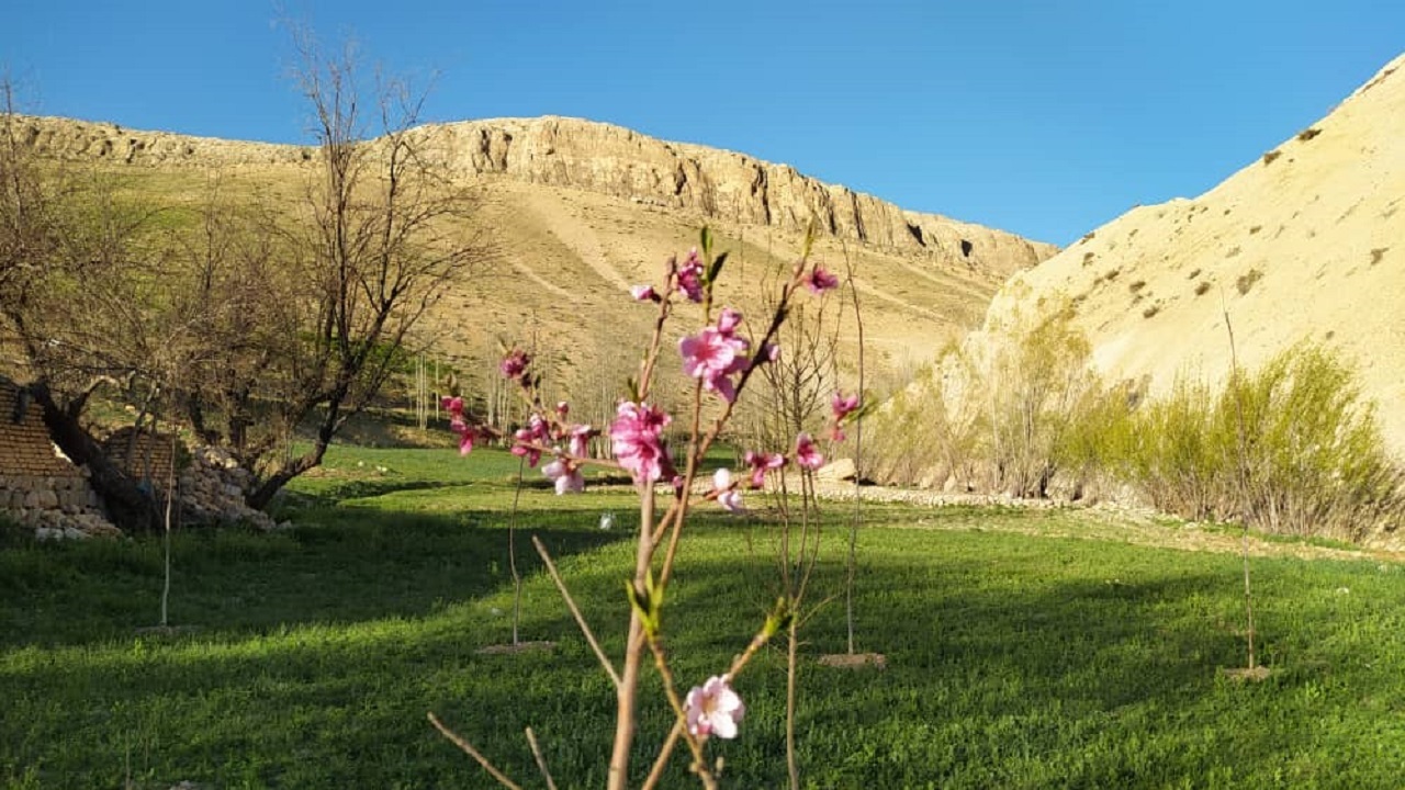 بهار روستای نعل اشکنان شهرستان کوهرنگ دیدنی است