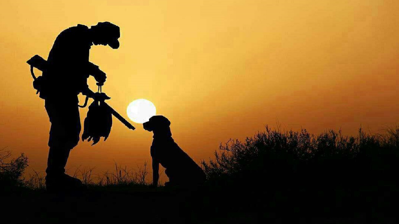 بازداشت بیش از هزار و ۲۰۰ شکارچی متخلف در خراسان رضوی