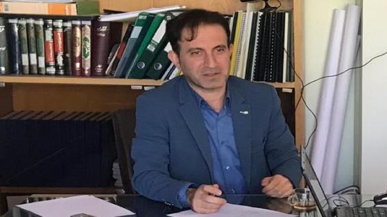 رونق صنعت چوب با زراعت صنوبر در زنجان