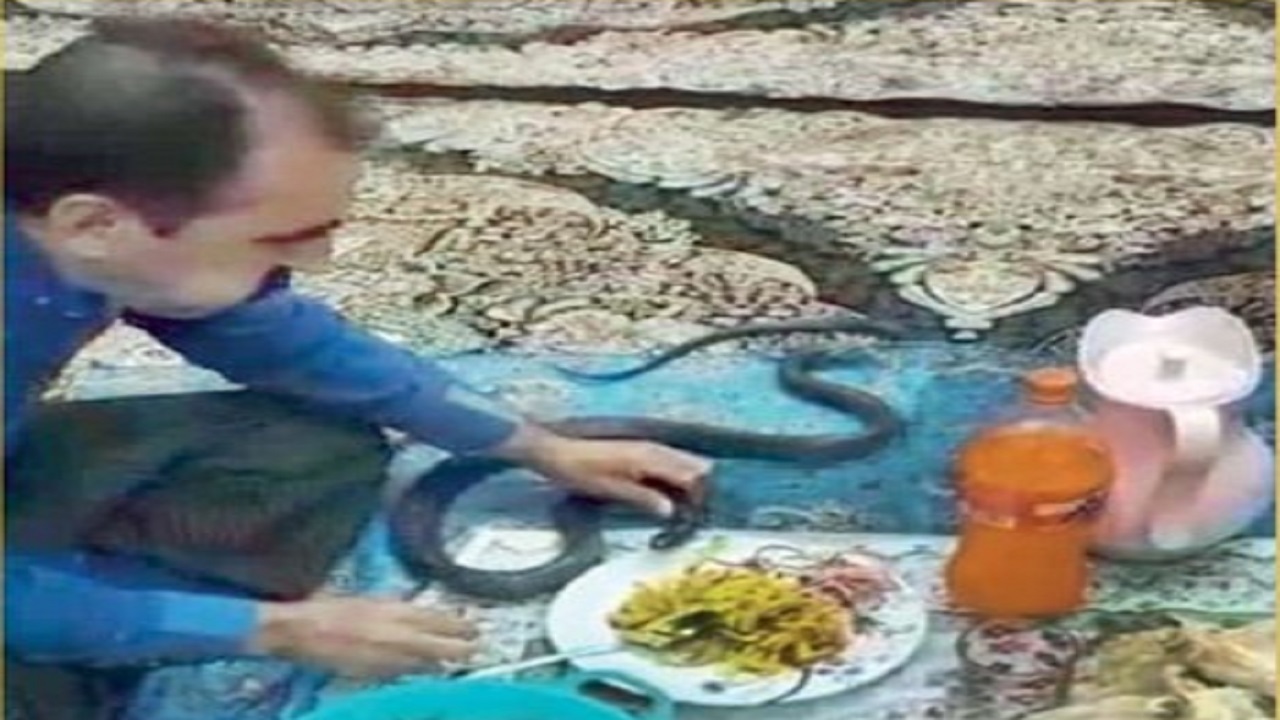 گفت‌و‌گوی جذاب با مردی که با مارها آبگوشت می‌خورد!