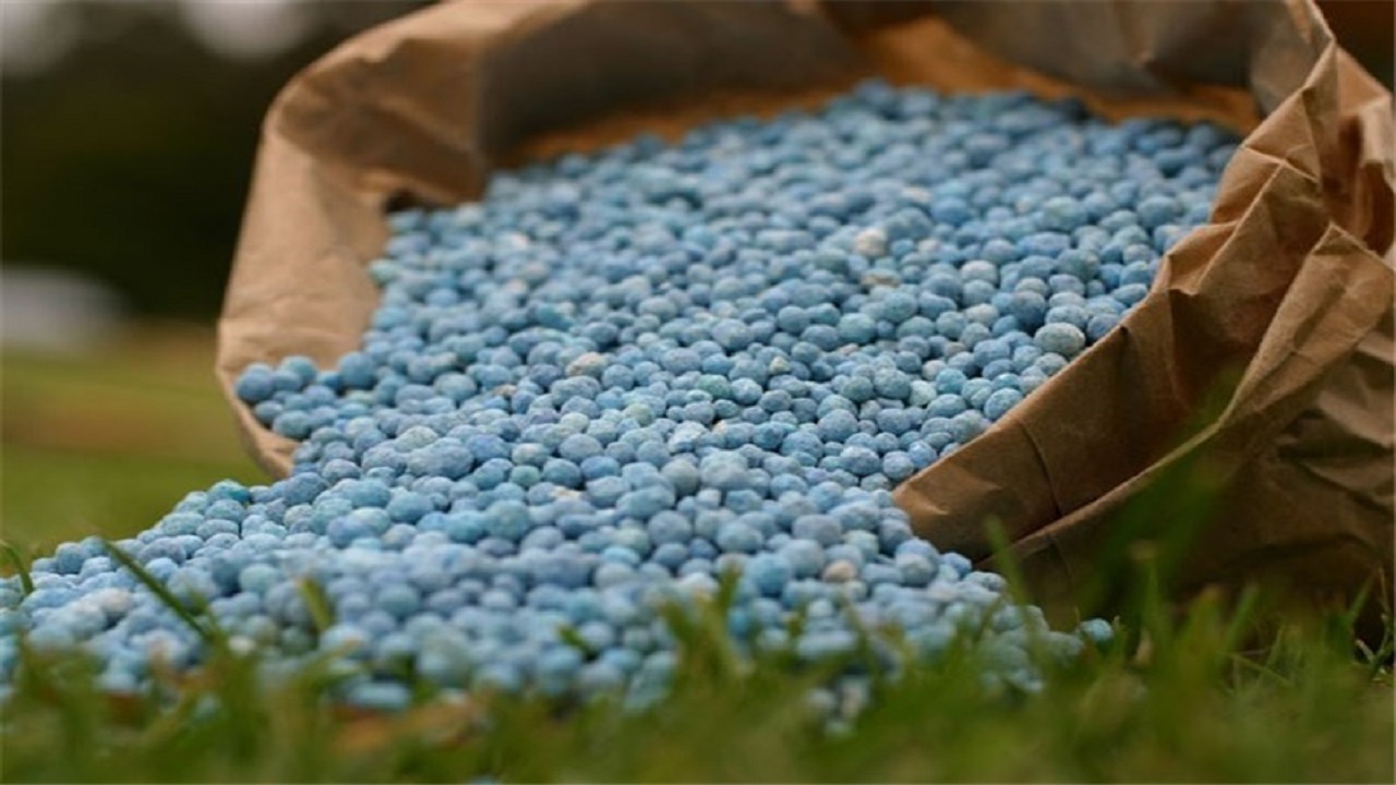 کودهای تقویت کننده، صاحبشان را سوزاندند