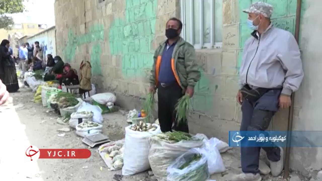 خطر انقراضی که  حال طبیعت را ناخوش کرده+فیلم