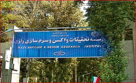جذاب جذاب
