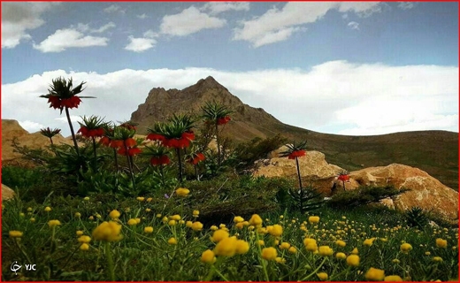 جذاب جذاب
