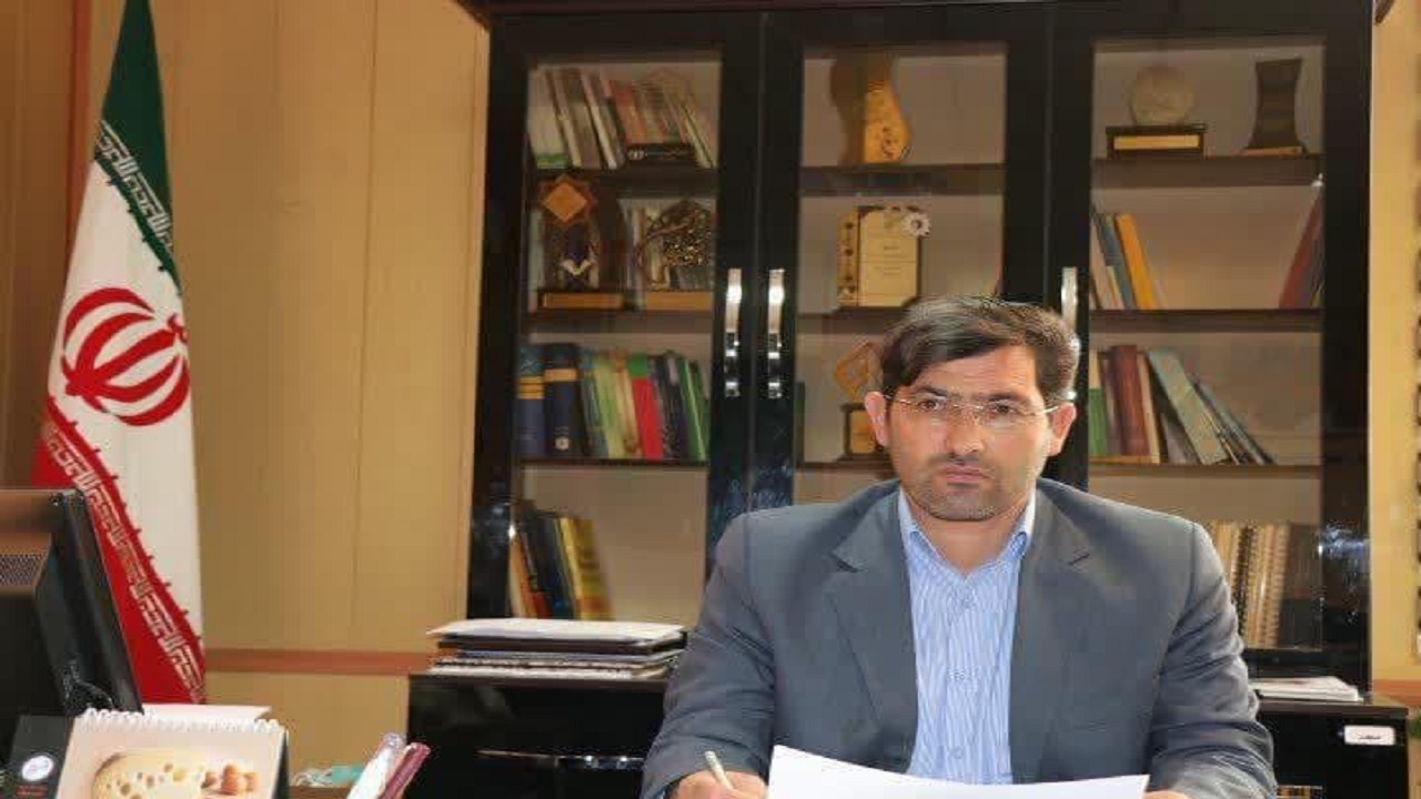 جریمه یک میلیارد و ۹۰۰ میلیون تومانی برای دلالان مرغ در اردبیل