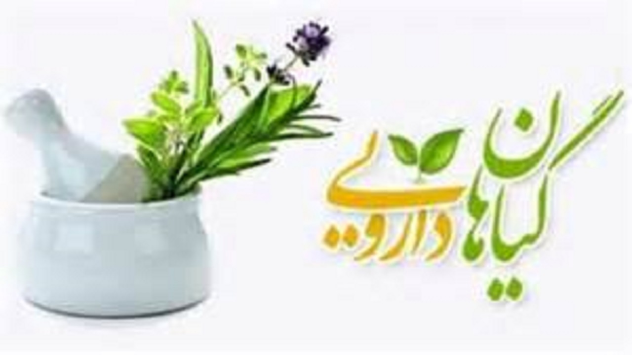 راه اندازی مرکز نوآوری گیاهان دارویی در دانشگاه علوم پزشکی گناباد