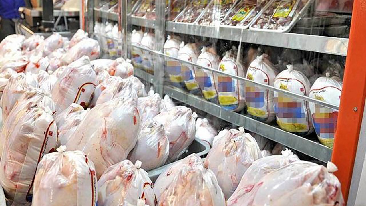مشکلی برای تامین و توزیع مرغ در ایلام وجود ندارد