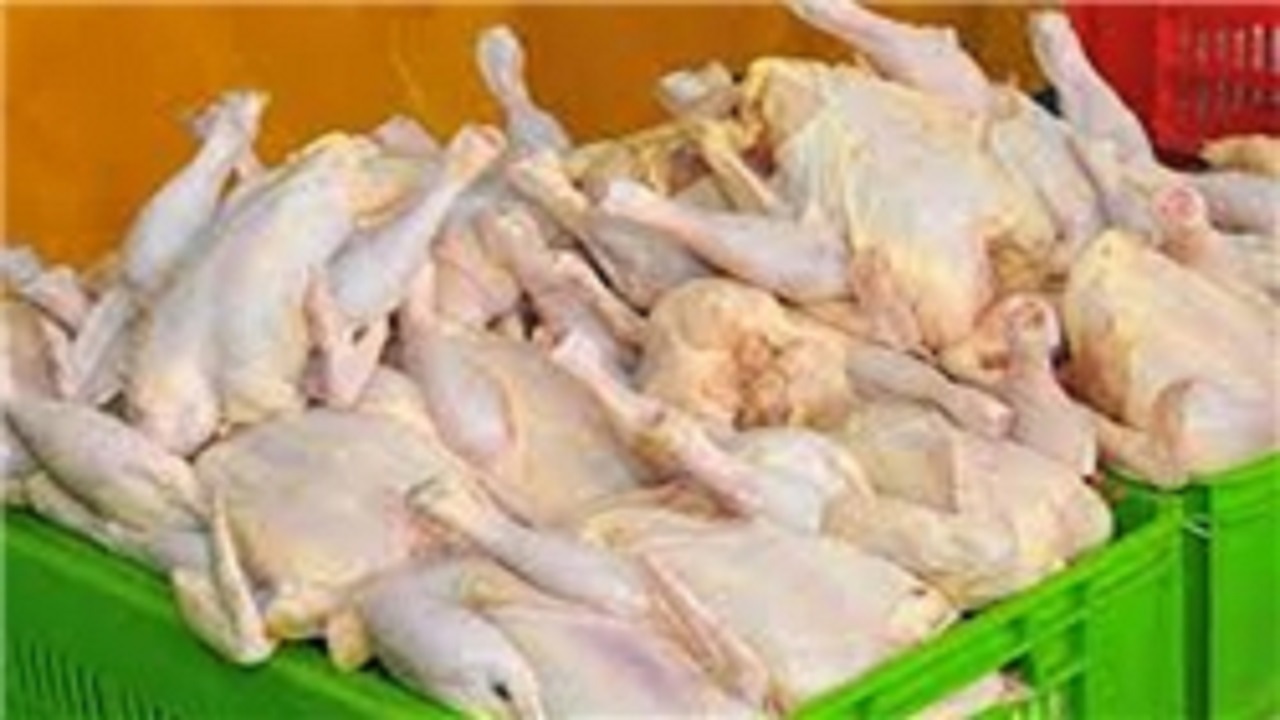 هفت تن گوشت مرغ گرم در زاهدان توزیع می‌شود