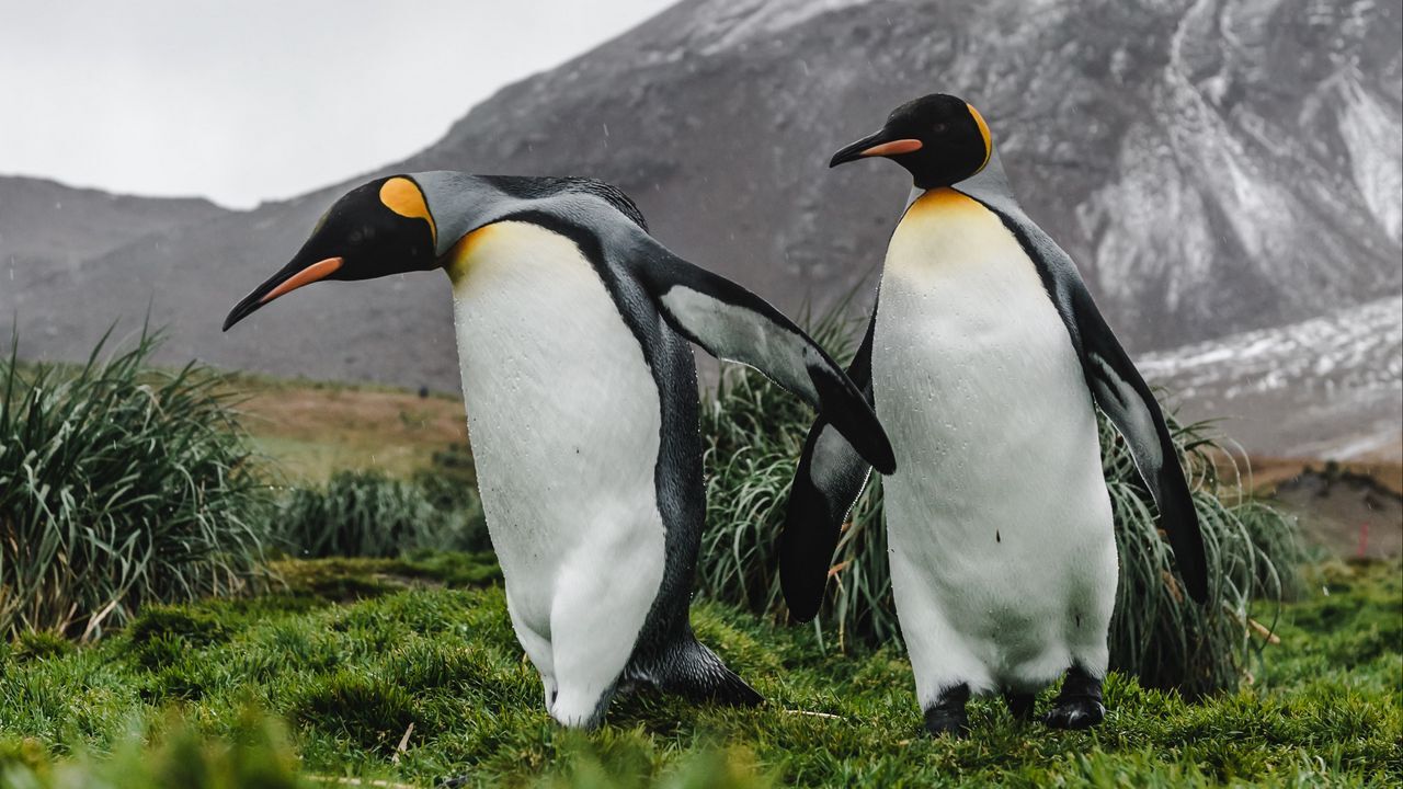 جذاب&zwnj;ترین تصاویر پس زمینه