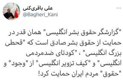 واکنش دبیر ستاد حقوق بشر ایران به صداقت گزارشگر حقوق بشر انگلیسی