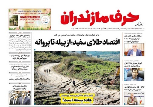 خون&zwnj;هایی که رنگین تراند! / اقتصاد طلای سفید؛ از پیله تا پروانه