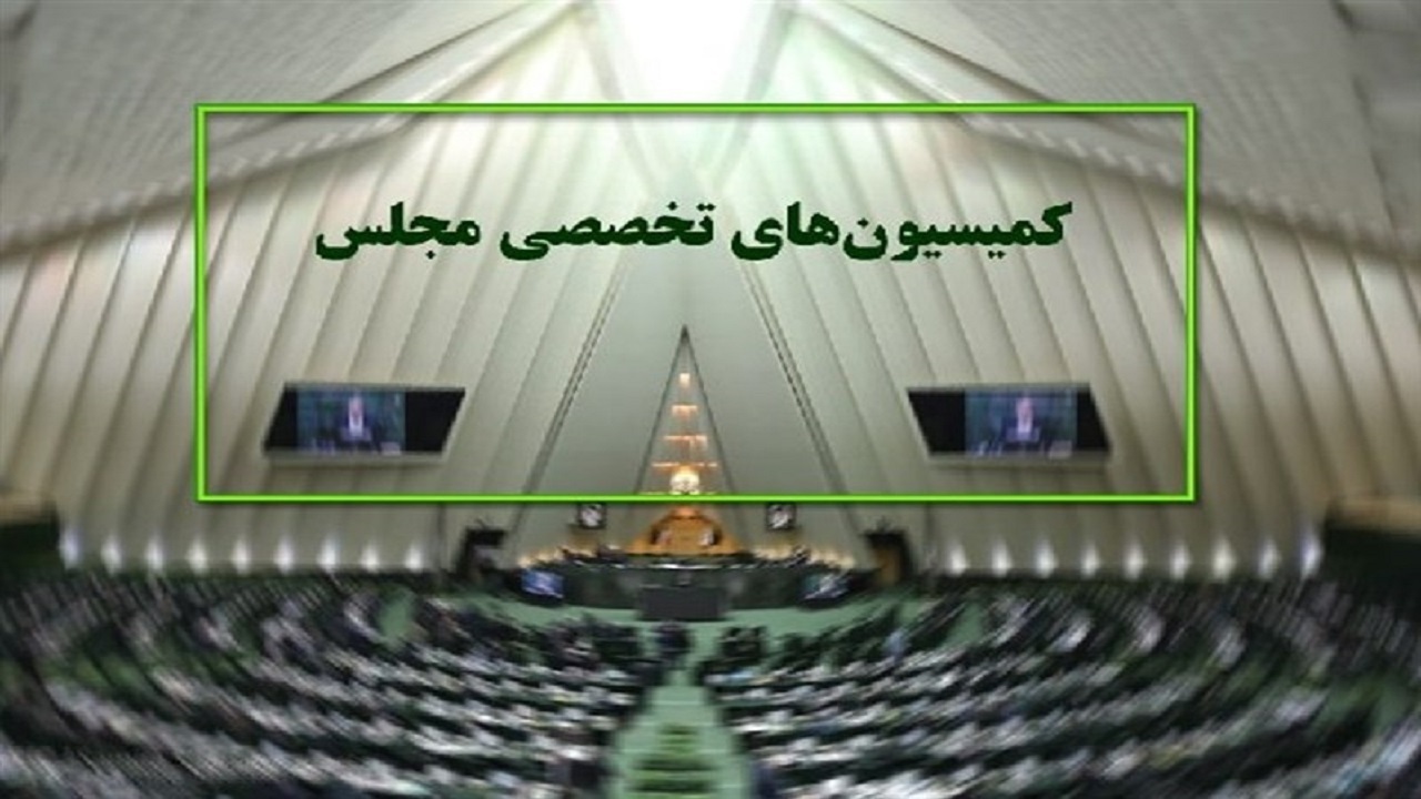 کمیسیون‌ها و کمیته‌های مجلس فعلا تعطیل می‌شوند
