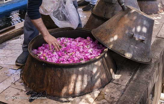 آیا ایام گلابگیری پای گردشگران را به کاشان باز می&zwnj;کند؟ /مسئولان تعلل کنند تجربه سفر نوروز&zwnj;های تکرار می&zwnj;شود