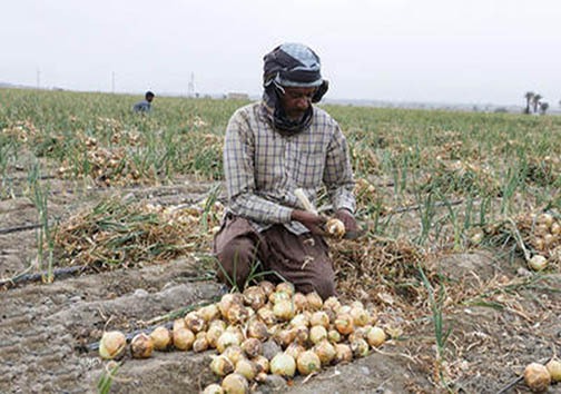 زنگ بی آبی در اصفهان به صدا درآمد/ به نام پاکبانان به تن مدیران/