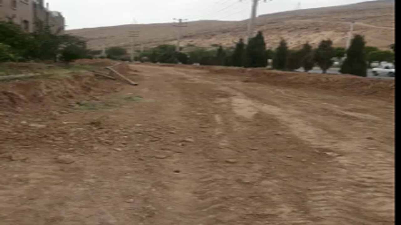 قطع ۷۰ اصله درخت در بلوار رسول اعظم شیراز + فیلم