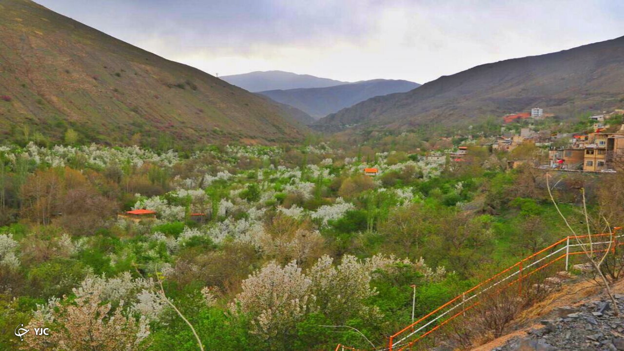 شکوفه باران طبیعت در دهبار