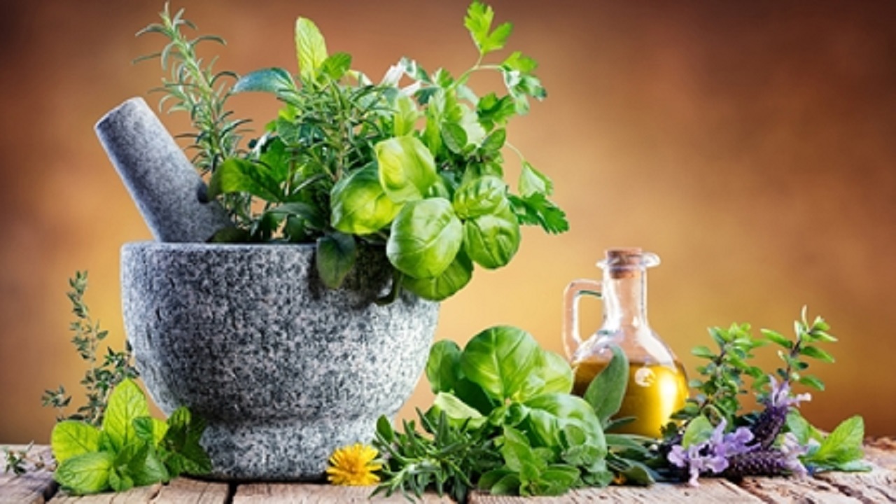 نقش گیاهان دارویی در توسعه و پیشرفت اقتصاد ملی