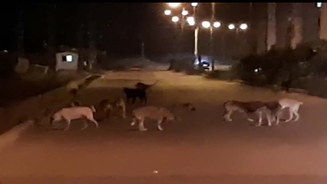 از از