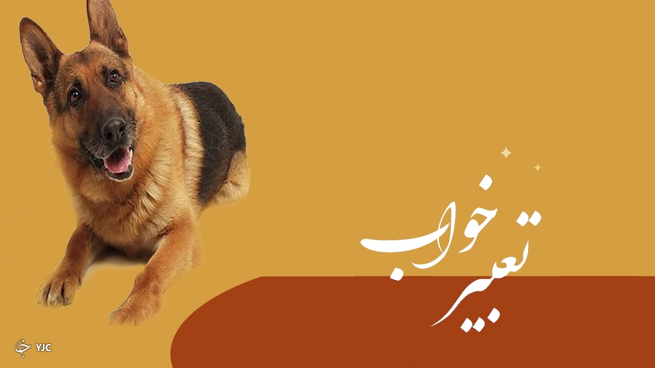 دیدن سگ در خواب چه تعبیری دارد؟