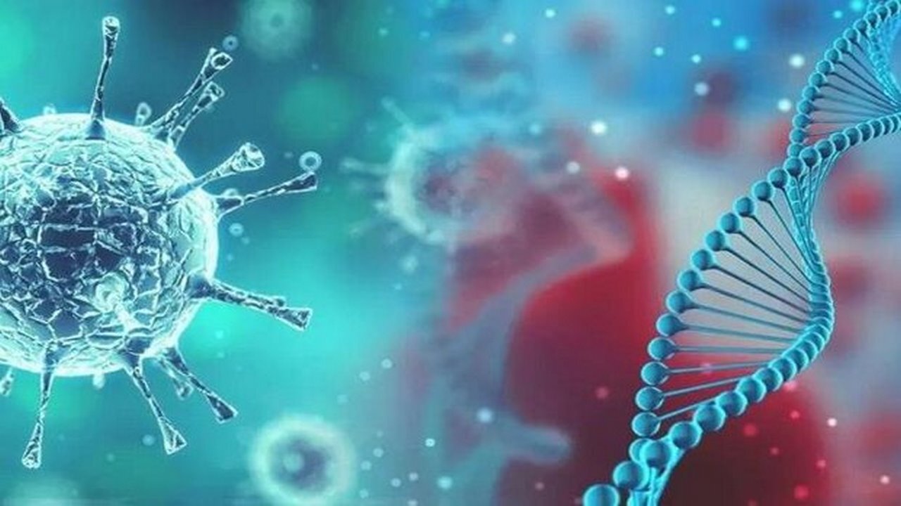 شناسایی ۱۳۰ مورد جدید مبتلا به کرونا ویروس در ایلام