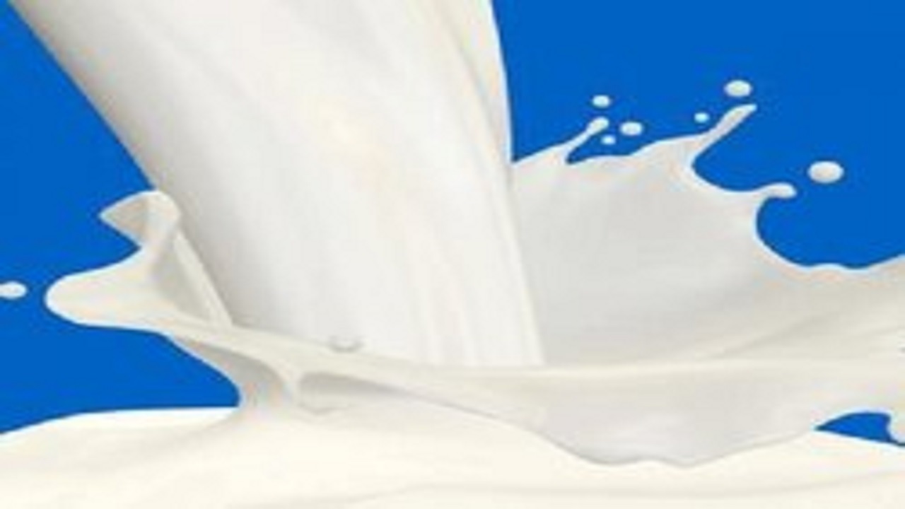 عرضه گوشت گوساله با نرخ بالای ۱۲۰ هزار تومان گرانفروشی است/ تولید شیرخام به ۱۱.۵ میلیون تن رسید