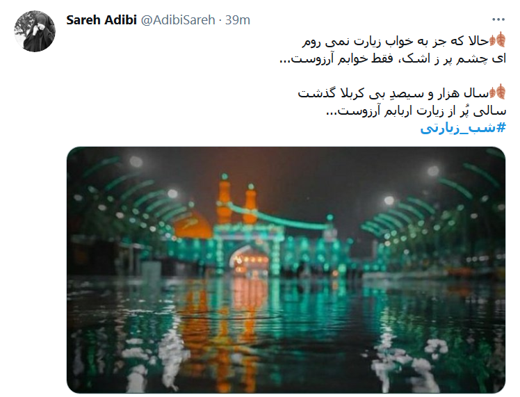 سال هزار و سیصدِ بی کربلا گذشت / سالی پُر از زیارت اربابم آرزوست