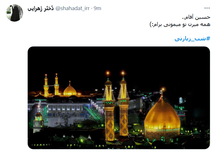 سال هزار و سیصدِ بی کربلا گذشت / سالی پُر از زیارت اربابم آرزوست
