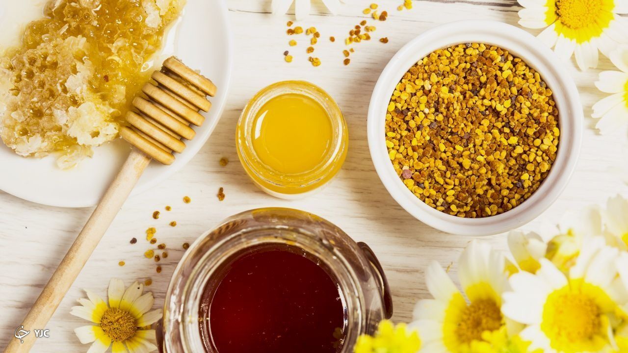 ژل رویال، گنجی از فواید برای سلامتی شما