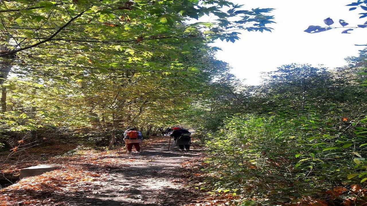 روستای  پلکانی اردمه، استراحتگاهی ناب و خوش آب و هوا +عکس