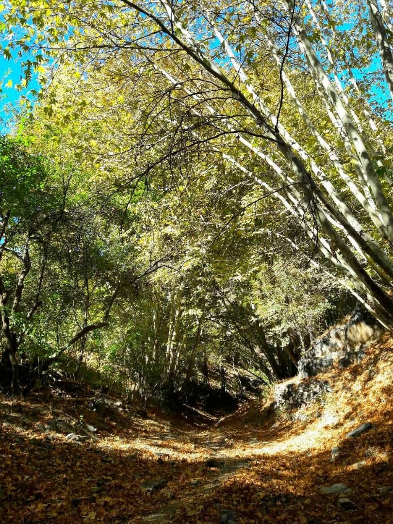 روستای  پلکانی اردمه، استراحتگاهی ناب برای گذران تعطیلات