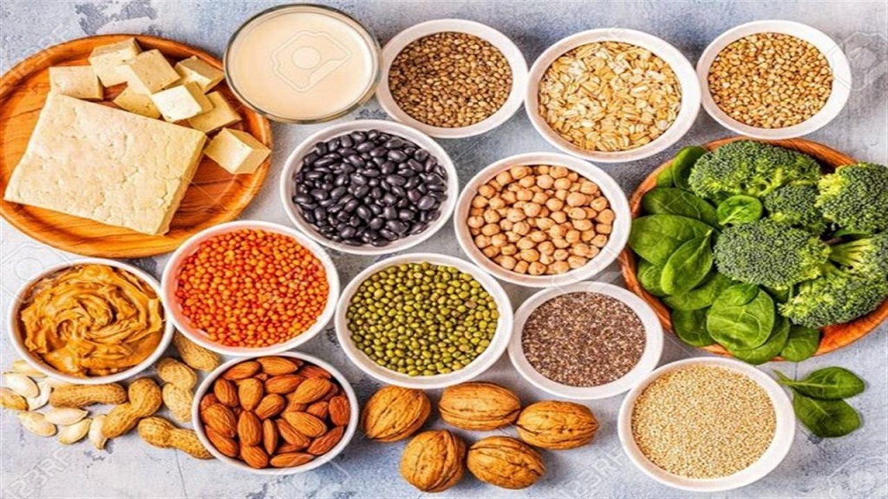پروتئین ها در تقویت سیستم ایمنی بدن چه نقشی دارند؟