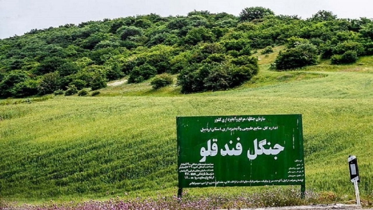 گشت‌های یگان حفاظت منابع طبیعی استان اردبیل افزایش یافت