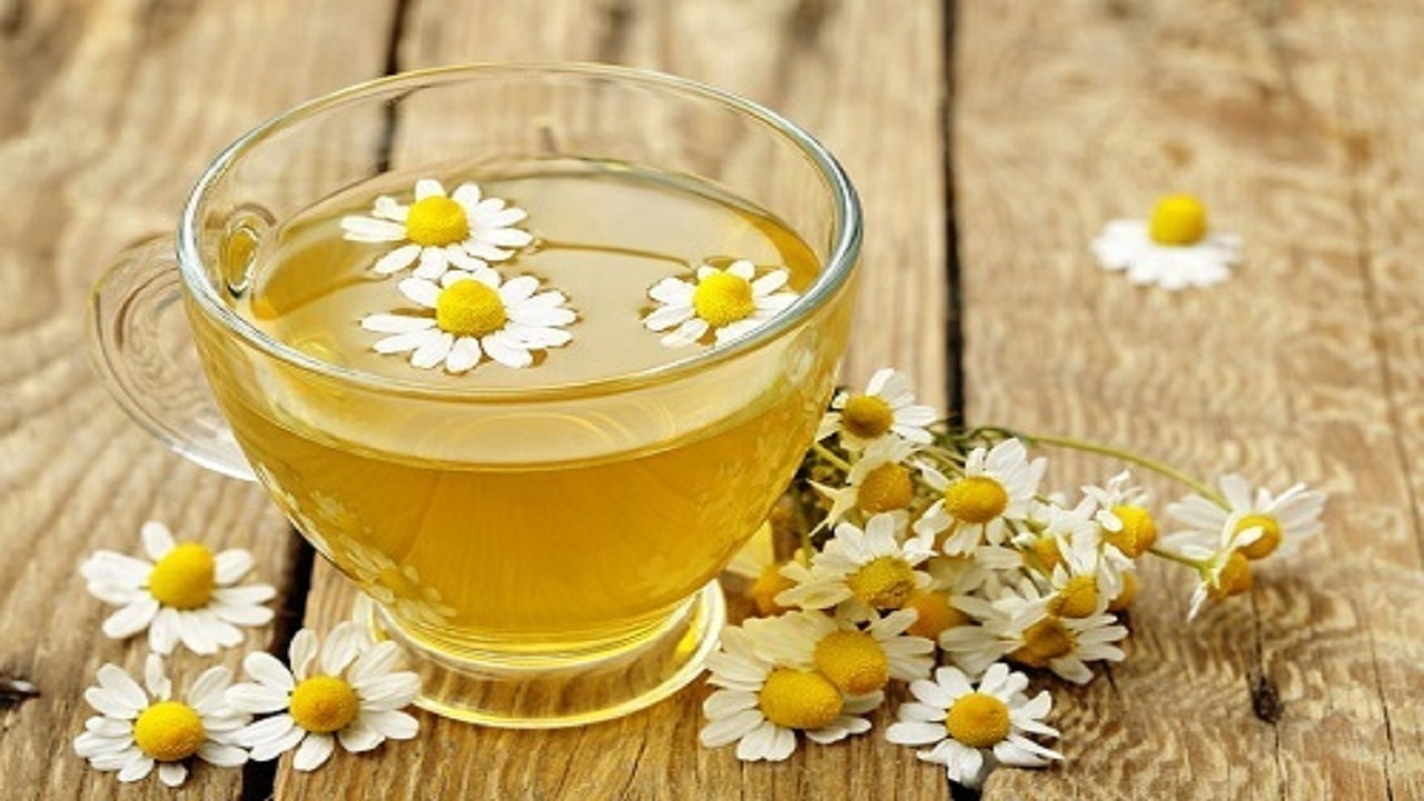 از بی&zwnj;خوابی دوران کرونا تا فواید درمانی بابونه