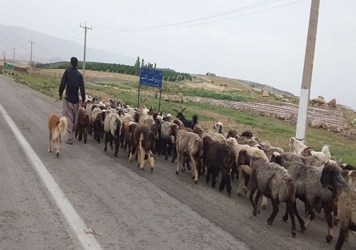 تقویم کوچی که خشکسالی نوشت