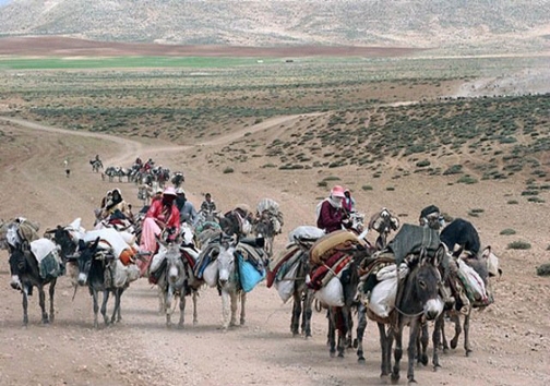تقویم کوچی که خشکسالی نوشت