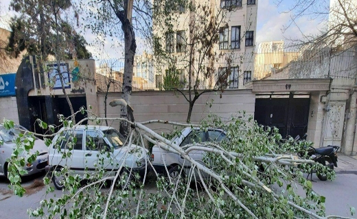سرعت وزش باد در مشهد به بیش از ۶۰ کیلومتر در ساعت رسید/۱۵ حادثه مرتبط با وزش باد شدید در مشهد رخ داد