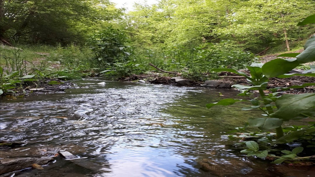 روستای تجر، خوش آب و هوا&zwnj;ترین روستای طرقبه